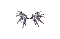 Summoner Wings Level 3